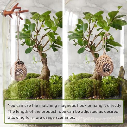 Jumping Spider Hide,Magnetic Hidden Jumping Spider Habitat,Pet Spider Hideout Enclosure Accessories, Jumping Spider Enclosure,Small Pets Toy,Khaki in Saudi Arabia
