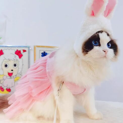 فساتين VANVENE للكلاب الأليفة، سترة شبكية مخططة للكلاب والقطط، تنورة توتو للأميرة مع فيونكة للكلاب الصغيرة والقطط ومستلزمات ملابس الكلاب (وردي M) in Kuwait