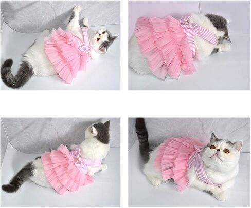 فساتين VANVENE للكلاب الأليفة، سترة شبكية مخططة للكلاب والقطط، تنورة توتو للأميرة مع فيونكة للكلاب الصغيرة والقطط ومستلزمات ملابس الكلاب (وردي M) in Kuwait