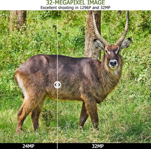 3 حزمة كاميرا WiFi Trail للحياة البرية 48 ميجابكسل 1296 بكسل HD تسجيل صوت فيديو مع كشف الحركة وعدم التوهج، رؤية ليلية بالأشعة تحت الحمراء PIR مسافة 100 قدم للصيد وأمن الفناء الخلفي in Kuwait