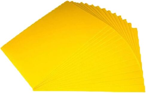 Vacuum Former Specialized Sheets 73PCS PETG Vacuum Forming Machine Sheet 0. 3mm A3 (297mm×420mm/16.54x11.69in) Size Transparent Printable Safe for Food. in Saudi Arabia