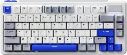 Rapoo V700DIY-98 لوحة مفاتيح ميكانيكية لاسلكية، BT5.0 + 2.4 جيجا هرتز، لوحة مفاتيح مخصصة للألعاب قابلة للتبديل السريع، مفتاح خطي فضي سريع، 16.8 ميجا لكل مفتاح RGB، حامل حشية، صوت كريمي، مضاد NKRO كامل للظلال in Kuwait