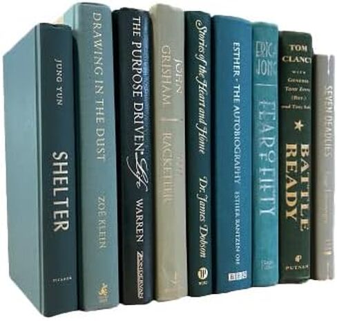 Real Books by Color for Office or Home Decor - Interior Design Wedding Display Photo Prop Staging Decoration (11 Books, Black - silver title) in Saudi Arabia