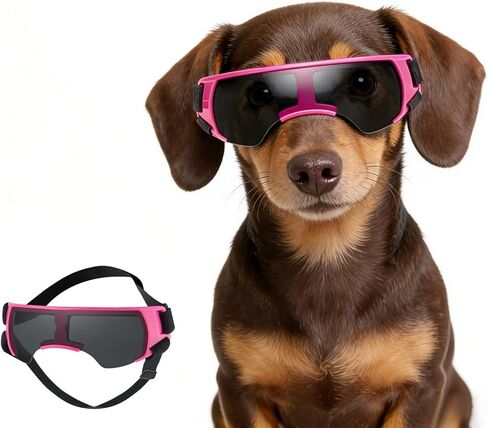 ENJOYING Dog Sunglasses Small Breed, Anti-UV Puppy Goggles for Small Dogs, Windproof Outdoor Dog Eye Protection for Driving Biking, Adjustable Head Straps, Cute Blue in Kuwait