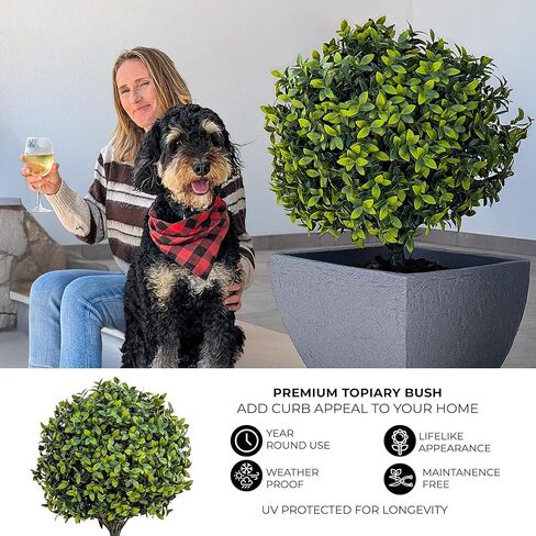 365 كرة توبياري صناعية مسننة من كيرب أبيل (نبات العنكبوت) in Kuwait