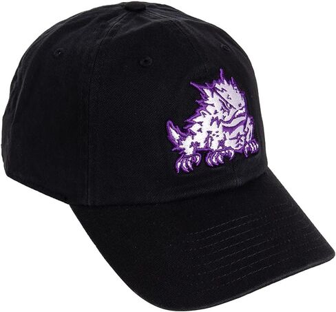 Desert Cactus TCU Texas Christian University Baseball Hat Horned Frogs Brimmed Embroirderd Hats Cap Adjustable Cloth Strap Adult (Style D1) Black in Saudi Arabia