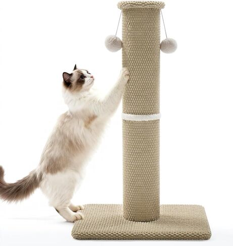 عمود خدش للقطط طويل القامة من Made4Pets، 23.6 بوصة خدش للقطط الحديثة مع كرات معلقة، عمود خدش للخدمة الشاقة وسميكة للقطط الداخلية للبالغين، عمود خدش للقطط بقاعدة قوية، بيج in Kuwait