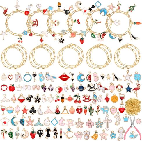 Tondiamo 173 Pieces Charm Bracelet Making Kit for Women DIY Silver Chain Bracelet Jewelry Making Kit for Adult 100 Assorted Charms Pendants 60 Jump Rings Pliers for Crafts Beginner Supplies Gift in Saudi Arabia