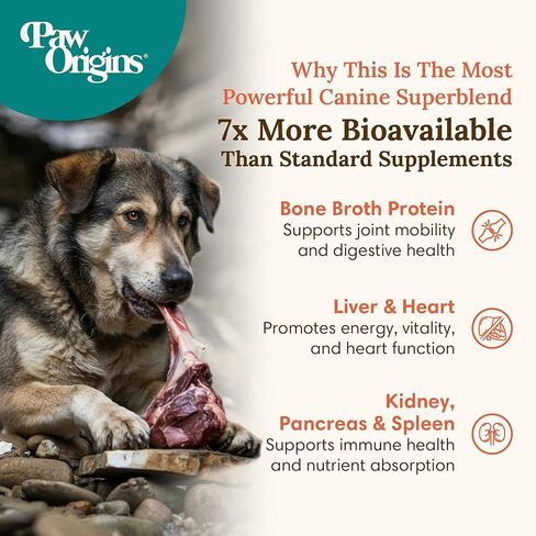 مسحوق مرق العظام للكلاب من PawOrigins® Primal-Vitality™ - مجمع أعضاء لحم البقر الذي يتغذى على العشب مع الكبد والقلب والكلى والبنكرياس والطحال وبروتين مرق العظام - طبقة علوية من طعام الكلاب الطبيعي، 120 حصة in Kuwait
