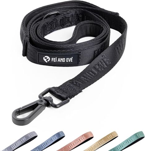 2026 New Edition, Fei & Eve Classic Dog Leash - 6FT, Dual Padded Handles, 360° Swivel Hook, Heavy Duty 210D Nylon - No-Pull Design with Traffic Control Handle - for Small/Medium/Large Dogs, Champagne in Saudi Arabia