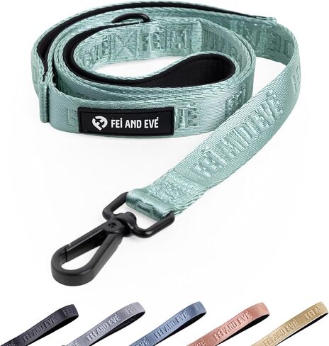 2026 New Edition, Fei & Eve Classic Dog Leash - 6FT, Dual Padded Handles, 360° Swivel Hook, Heavy Duty 210D Nylon - No-Pull Design with Traffic Control Handle - for Small/Medium/Large Dogs, Champagne in Saudi Arabia