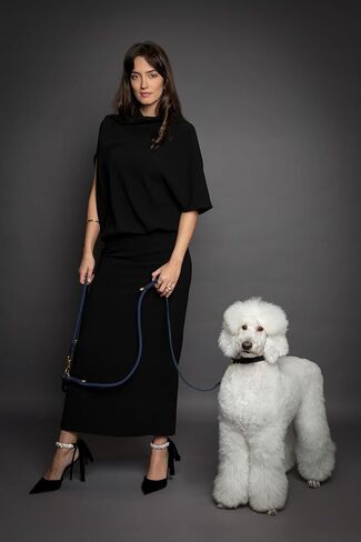 مقود الكلاب NOAH & PAW بدون استخدام اليدين، مصنوع من جلد مشمع بالزيت وحبل باراكورد شديد التحمل، بطول 8 أقدام، مقود طويل للكلاب مع 6 طرق للاستخدام (مثالي للقطط والكلاب الصغيرة والمتوسطة والكبيرة) ويتوفر طوق مطابق. (الأخضر الداكن) in Kuwait