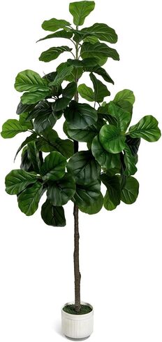 شجرة تين صناعية بأوراق الكمان بطول 6 أقدام - شجرة وهمية كبيرة مع مزارع وسلة بيضاء، نباتات أرضية شجرة ليراتا صناعية طويلة للديكور الداخلي للمنزل والمكتب وغرفة المعيشة هدية الترحيب بالمنزل الجديد، عبوة واحدة in Kuwait