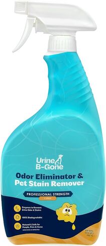 Urine B-Gone، مزيل رائحة إنزيم احترافي ومزيل بقع الحيوانات الأليفة، منظف بول الإنسان والقطط والكلاب، فعال على الغسيل والسجاد والمزيد، رائحة الحمضيات، 1 جالون in Kuwait