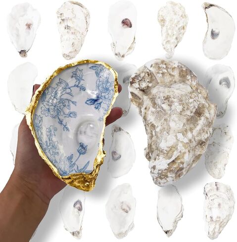 20PCS 5"-6" Extra Large Oyster Shells for Crafts, Natural Odor-Free Seashells for DIY, Painting, Wedding Decor, Decorating, Vase Fillers, Coastal Art Projects in Saudi Arabia