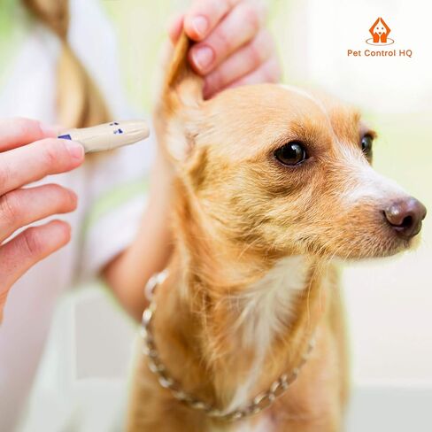 جهاز مراقبة جلوكوز الدم لدى الحيوانات الأليفة للكلاب والقطط - مجموعة أدوات مراقبة جلوكوز الحيوانات الأليفة، نظام ثنائي الرقاقة بمعايرة الطبيب البيطري، نتائج خلال 10 ثوانٍ، عينة 0.6 ميكرولتر، 50 شريط اختبار، اختبار منزلي كامل لمرض السكري in Kuwait