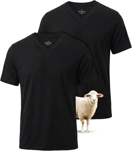 2 Pack Merino Wool T Shirts for Men, V-Neck 100% Wool Base Layer, Breathable Undershirt for Travel, Fitness in Saudi Arabia
