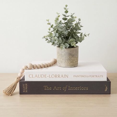 كتب زخرفية من Vine Creations - مجموعة من صندوقين من الكتان مع مساحة تخزين - كتب جمالية مزيفة لتزيين المنزل، أو الرف، أو ديكور رف الكتب، أو ديكور طاولة القهوة، كصندوق تخزين أو تذكار in Kuwait