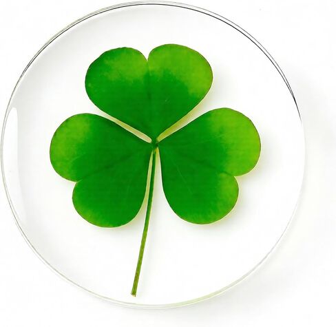 St. Patrick's Day Real Four Leaf Clover, Good Luck Charm Pocket Token, Irish Gifts for Friends, Family, 1.96" (Large Size - Real Four Leaf Clover Pocket Token) in Saudi Arabia