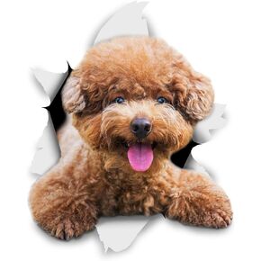 ملصقات Winston & Bear ثلاثية الأبعاد للكلاب - عبوتان - كلب بودل بني مبتسم للجدار والثلاجة والمرحاض والمزيد - ملصقات كلب بودل بنية معبأة للبيع بالتجزئة