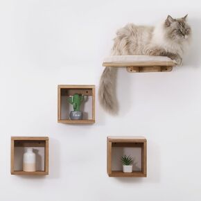 NuNest Cat Wall Furniture - Set of 4 Shelves Steps and Floating Mounted Bed, Wall Tree and Platform Walkways for Large Climber Cats. for cat nap, Obstacle Course Indoor, and Room Accessories