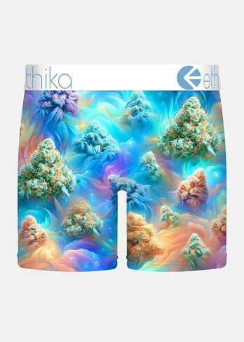 ملابس داخلية قصيرة متوسطة الطول للرجال من Ethika، ملابس داخلية قابلة للتمدد في 4 اتجاهات - شيربرت سموك in Saudi Arabia