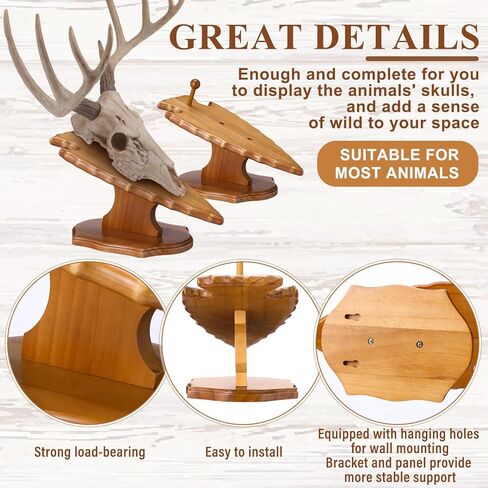 Leinuosen 1 Set Deer European Skull Mount Kit Antler Skull Mounting Kit Wooden Display Mount for Hunting Trophy Wall Decorations (Dark Brown) in Saudi Arabia
