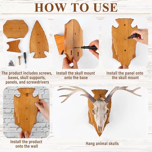 Leinuosen 1 Set Deer European Skull Mount Kit Antler Skull Mounting Kit Wooden Display Mount for Hunting Trophy Wall Decorations (Dark Brown) in Saudi Arabia