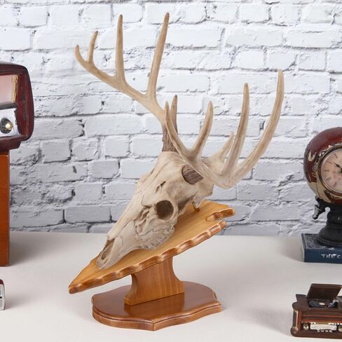Leinuosen 1 Set Deer European Skull Mount Kit Antler Skull Mounting Kit Wooden Display Mount for Hunting Trophy Wall Decorations (Dark Brown) in Saudi Arabia