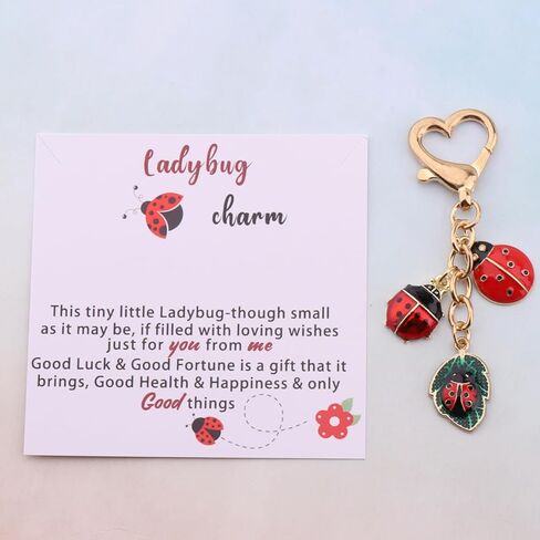 سلسلة مفاتيح BLEOUK Ladybug سحر الحظ السعيد هدية ملهمة للصداقة الخنفساء لمحبي المجوهرات in Saudi Arabia