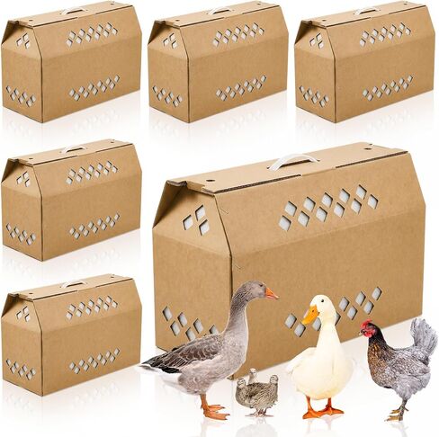 6 Pack Single Live Chicken Shipping Box, 17.7"L x 7.8"w x 11.8"h Cardboard Live Bird Carrier Box with Ventilation Holes Handle, Thickened Corrugated Paper for Poultry, Pets, Small Animals in Saudi Arabia