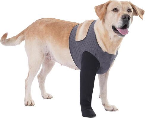 Dog Socks to Prevent Licking Paws ，Breathable Dog Leg Sleeve to Stop Licking and Biting， Firm and Secure Protect Wounds Dog Recovery Sleeve Socks(XL-Right) in Saudi Arabia