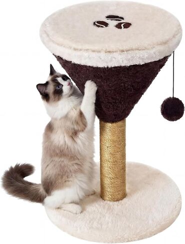 Sosation Espresso Martini Cat Scratcher 19.7 بوصة ارتفاع عمود الخدش للقطط مع كرة متدلية للقطط الداخلية عمود خدش للقطط الصغيرة والقطط المتوسطة الكبيرة in Saudi Arabia