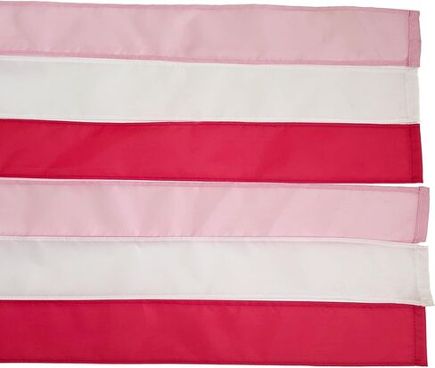 Madrona Brands Valentines Day Heart Windsock (نمط القلوب، 48 بوصة) in Kuwait