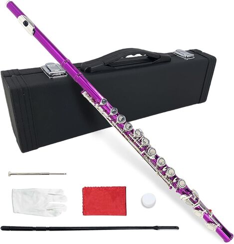 16 Key Closed Hole C Flute for Beginners, Students, Adults – Silver Plated Nickel Flute with Carrying Case, Cleaning Kit, Tuning Rod, Gloves – Lightweight, Durable & Easy to Play (Sliver) in Saudi Arabia