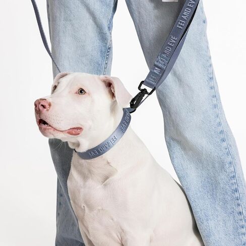 2026 New Edition, Fei & Eve MagEase Dog Collar - Patented Magnetic Buckles | Fur-Safe | Premium 210D Nylon | 450LB Escape-Proof | Adjustable Fit | Medium (Blush) in Saudi Arabia