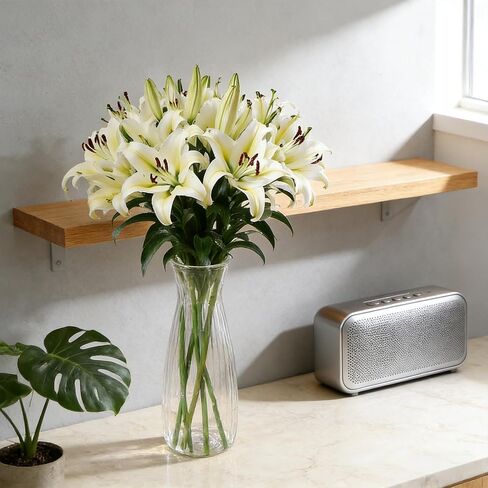 20Pcs Plastic Bud Vases Small Plastic Vases in Bulk, Clear Container for Flowers Height Shatterproof Bud Vase Wedding Centerpieces for Home Decor Living Room Office Decoration, Housewarming Party Gift in Saudi Arabia