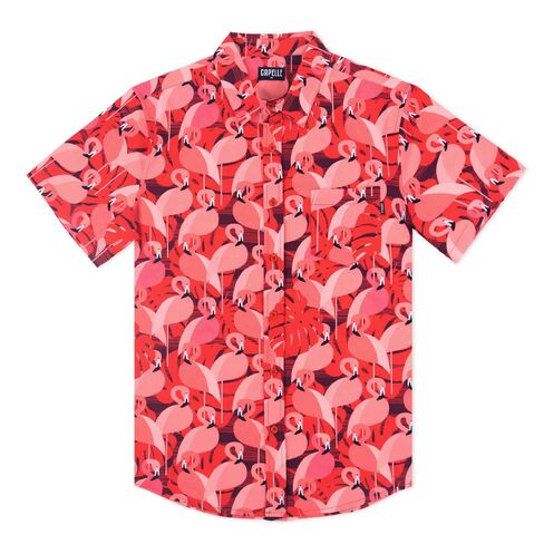 قميص Capelle Miami Closeouts مصمم in Kuwait