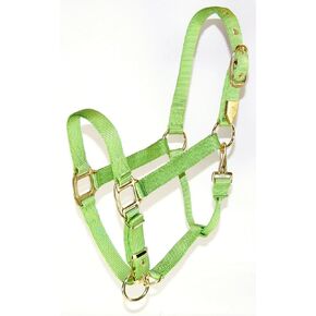 Hamilton 1-Inch Nylon Halter with Adjustable Chin, Lime Green - Average Size