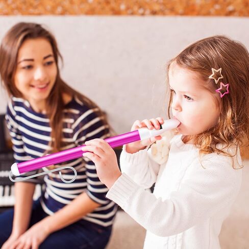 Yeshone 2 جهاز كمبيوتر شخصى الشريحة صافرة أداة الشريحة صافرة لعبة صافرة الشريحة للبالغين صافرة سخيفة صفارة بلاستيكية الشريحة مع قضبان منزلقة الفولاذ المقاوم للصدأ للألعاب، الأرجواني in Kuwait