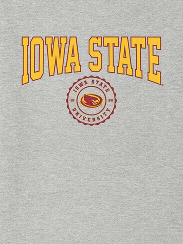 Old Navy Iowa State University Collegiate Seal Graphic T-Shirt for Men - ATHLETIC HEATHER in Saudi Arabia