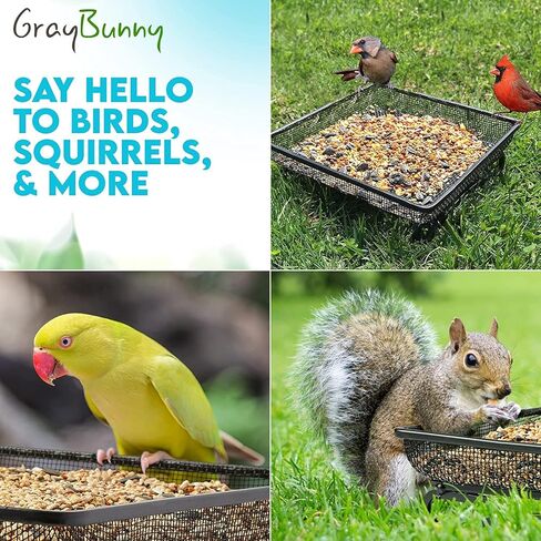 مغذيات الطيور البرية من Gray Bunny مقاومة للسنجاب للتعليق الخارجي، سعة 1.25 رطل، مقاومة للطيور من الصلب للطيور الصغيرة، مقاومة للمضغ ومقاومة للصدأ، 4 منافذ لمشاهدة الطيور، هدايا لمحبي الطيور in Kuwait