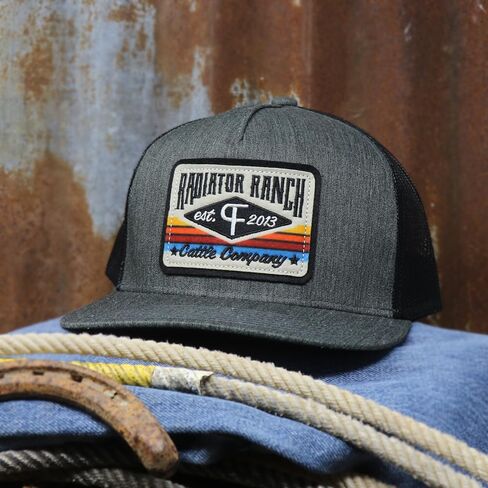 قبعة Rodeo Time Dale Brisby Radiator Ranch Bull Hauler Snapback - قبعة سائق الشاحنة الشبكية الغربية للرجال والنساء - نمط قابل للتعديل in Saudi Arabia