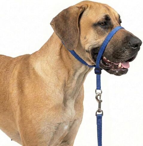 طوق رأس للكلاب، مبطن فائق النعومة، عاكس للضوء، طوق للكلاب مانع للسحب، قائد لطيف للكلاب مع مقود نايلون متين، مقبض مبطن - أزرق داكن (صغير) in Kuwait