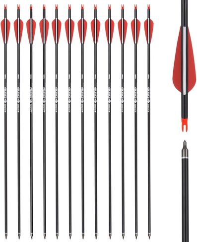 Carbon Arrow Hunting Arrows with 100 Grain Removable Tips for Archery Compound & Recurve & Traditional Bow Practice Shooting (Pack of 12) in Saudi Arabia