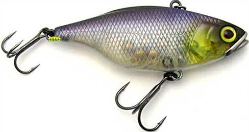 جاكال JTN60-HLBG TN 60 Lipless HL Lure، أسود/ذهبي in Kuwait