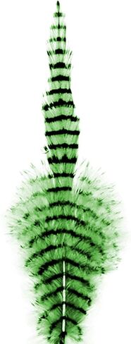 منعت السرج Hackle in Kuwait