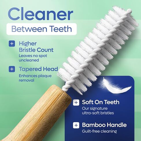SmartLifeco Bamboo Interdental Brushes (10 Count) - Eco-Friendly Reusable Dental Picks, Flexible Soft Bristles, Superior Gum & Teeth Cleaning, Toothpicks for Braces, PikStik - Regular in Saudi Arabia