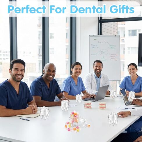 novabright 8 حزم مساعد طب الأسنان هدايا الأسبوع على شكل الأسنان جرة ثلاثية الأبعاد طباعة على شكل أسنان حلوى ملء الحاويات جرة صحة الأسنان شهر التقدير هدايا الأسبوع متعة طبيب الأسنان يوم RDH لوازم تفضل in Kuwait