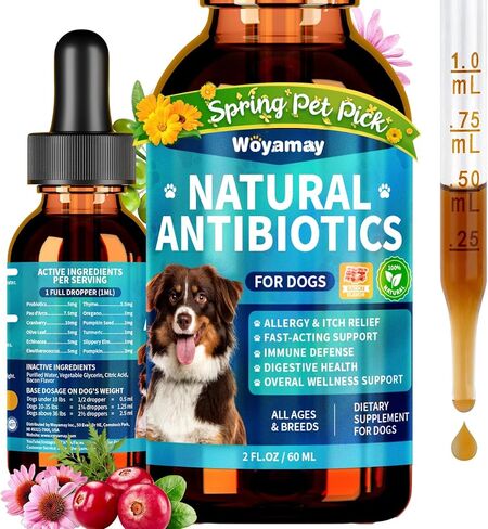 Antibiotics for Dogs | Natural Dog Antibiotics for Allergy Relief, Itch Relief, Coughs, Skin Health, Breath Treatment, Digestion | Herbal Supplement to Care for Ears, Eyes & Coat, 2 Fl Oz in Saudi Arabia